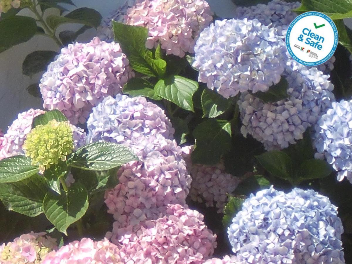 Horta Da Quinta ξενώνας Mértola Εξωτερικό φωτογραφία