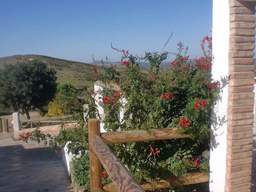 Horta Da Quinta ξενώνας Mértola Εξωτερικό φωτογραφία