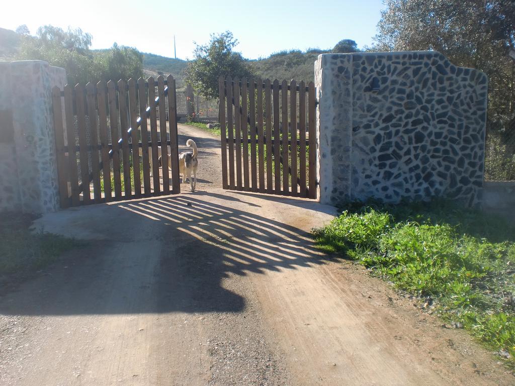 Horta Da Quinta ξενώνας Mértola Εξωτερικό φωτογραφία